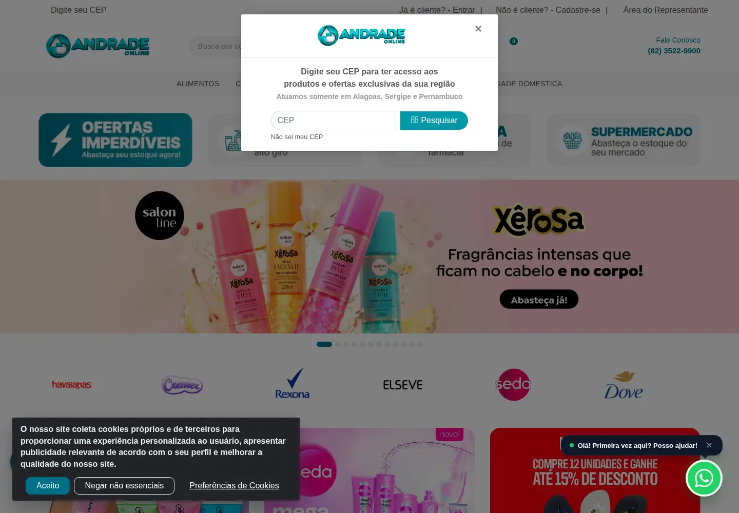 Captured homepage of andradeonline.com.br in the current scan