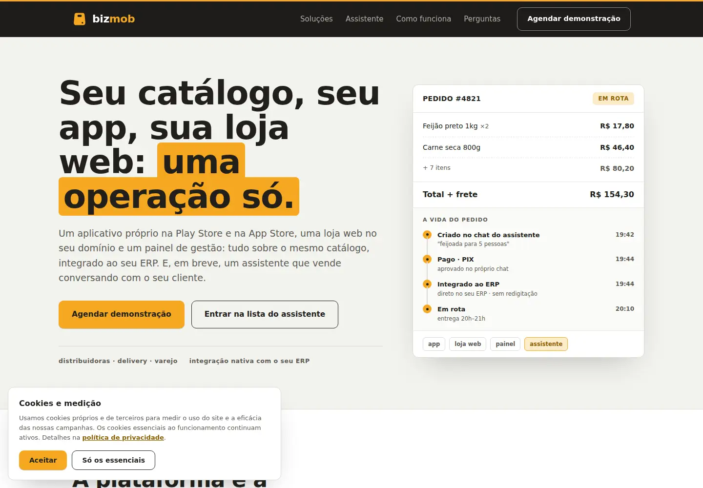 Captured homepage of bizmob.com.br in the current scan