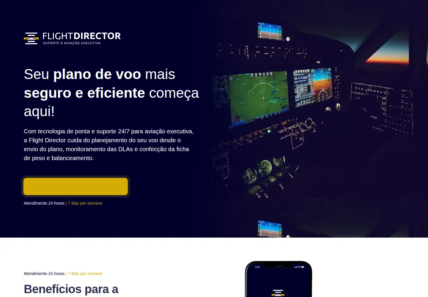 Captured homepage of flightdirector.com.br in the current scan