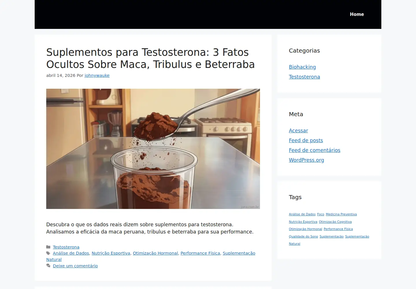 Captured homepage of jona.com.br in the current scan