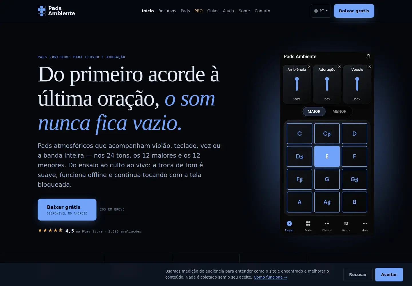 Captured homepage of padsambiente.com.br in the current scan