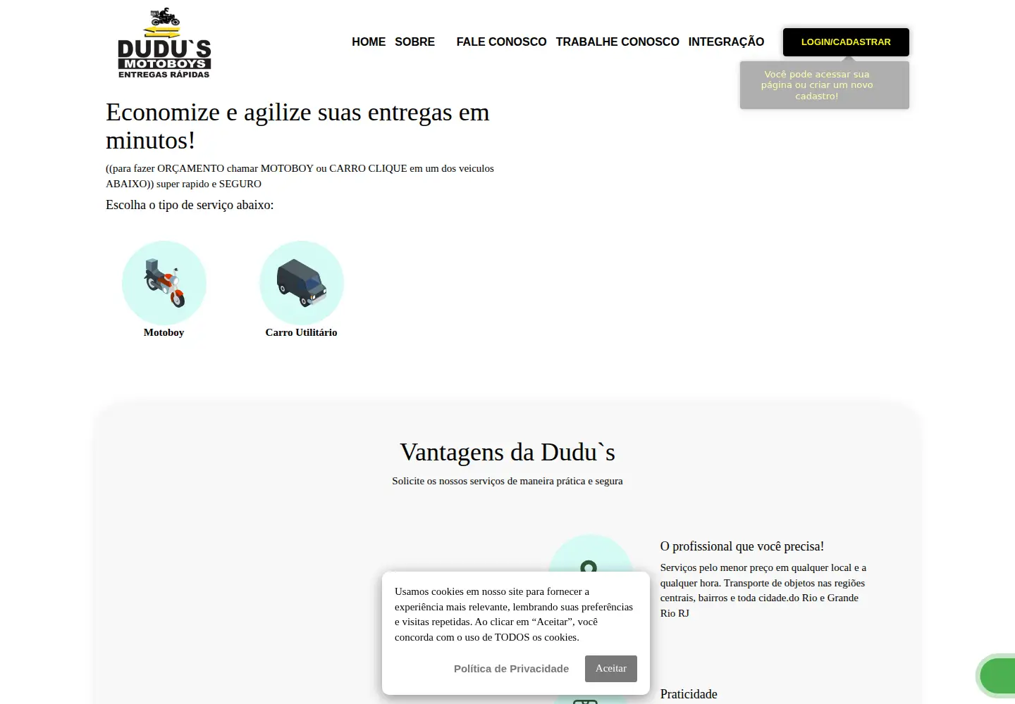 Captured homepage of dudus.log.br in the current scan