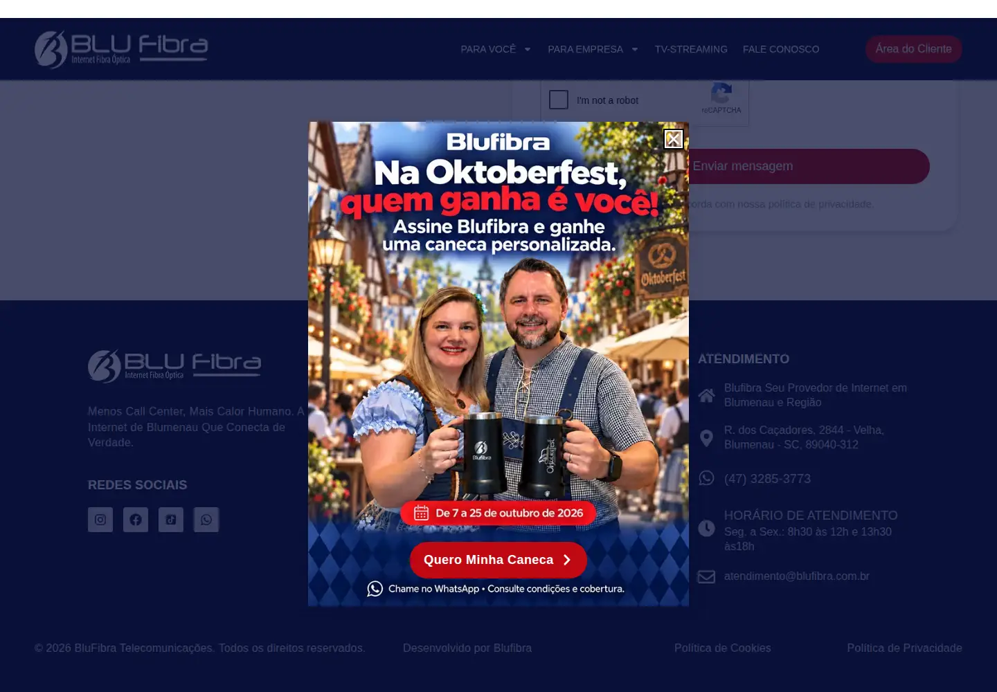 Screenshot of blufibra.net.br