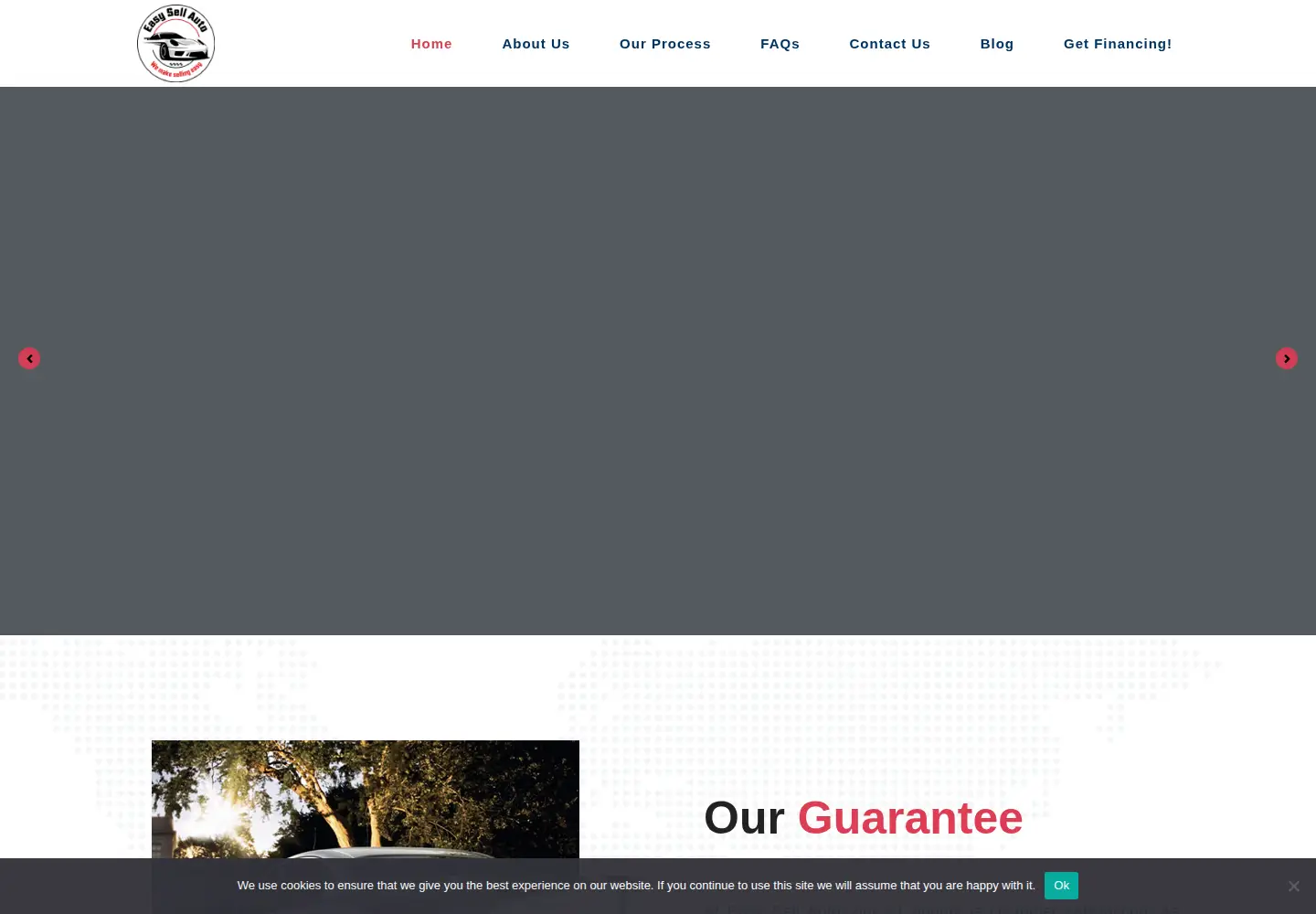 Captured homepage of easysellauto.ca in the current scan