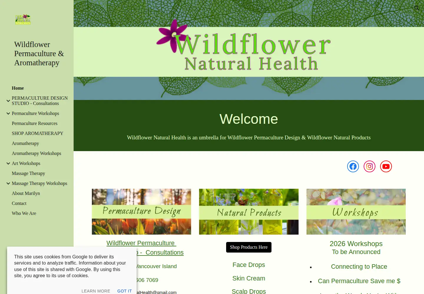 Screenshot of wildflowernaturalhealth.ca