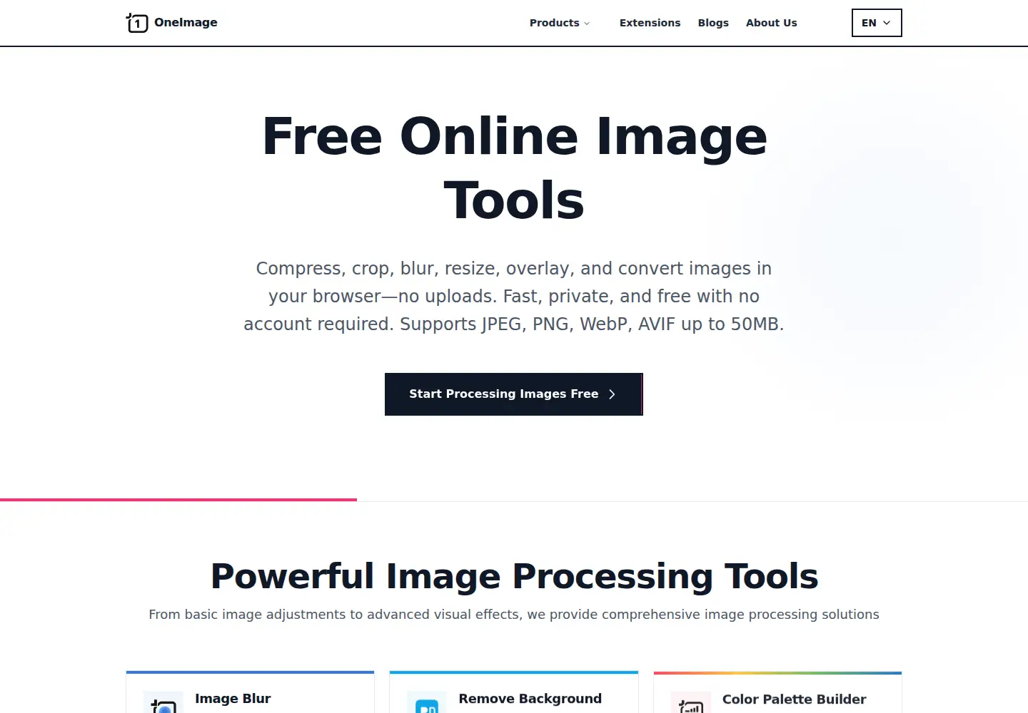 Captured homepage of oneimage.co in the current scan