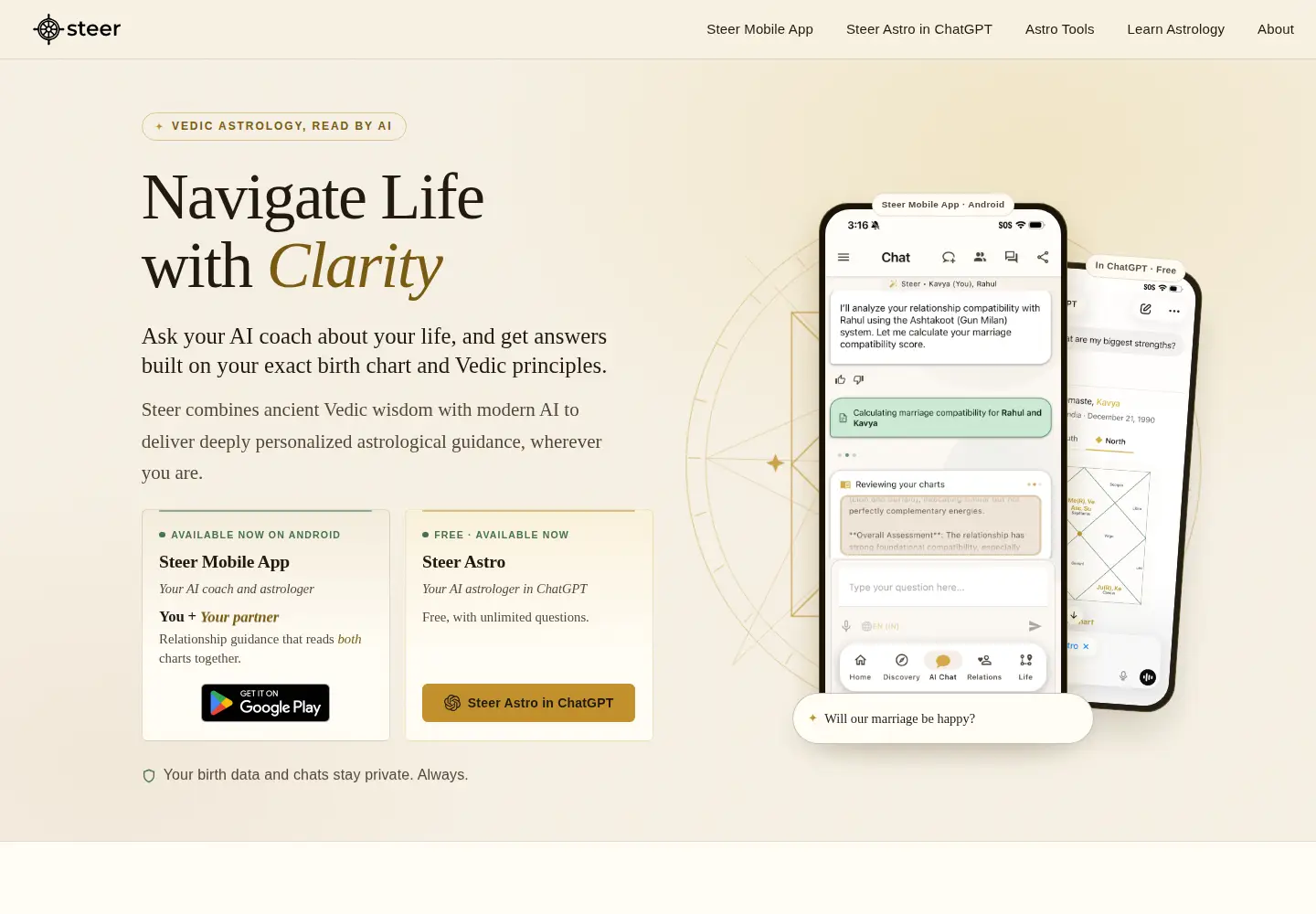 Screenshot of steer.coach