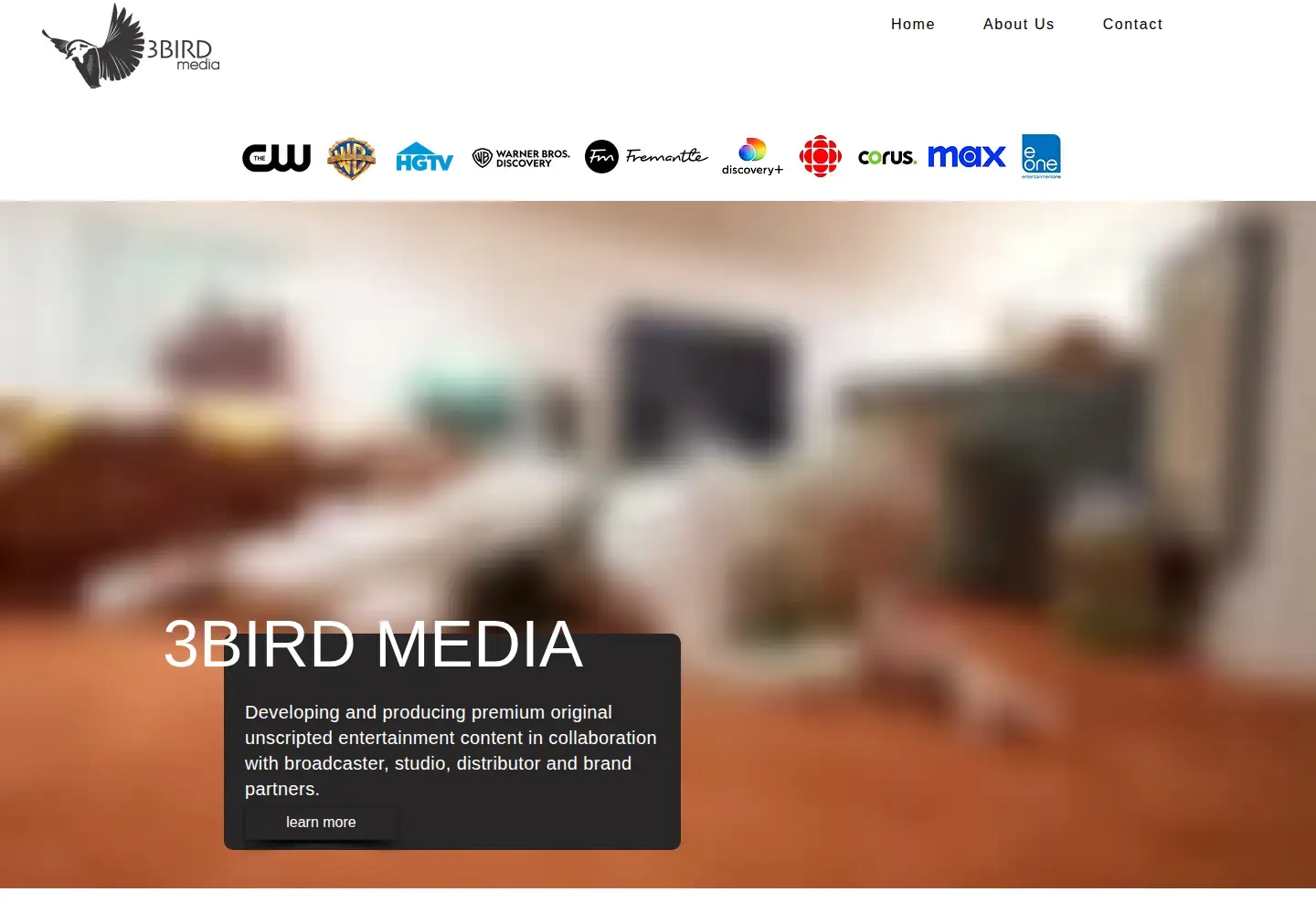 Captured homepage of 3birdmedia.com in the current scan
