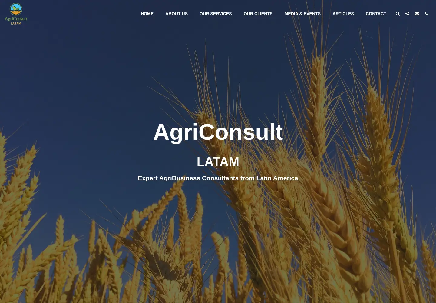 Screenshot of agriconsult-latam.com