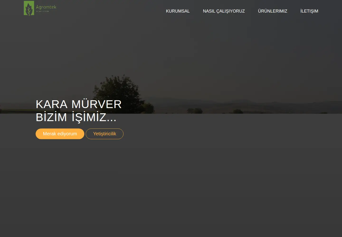 Captured homepage of agromtek.com in the current scan