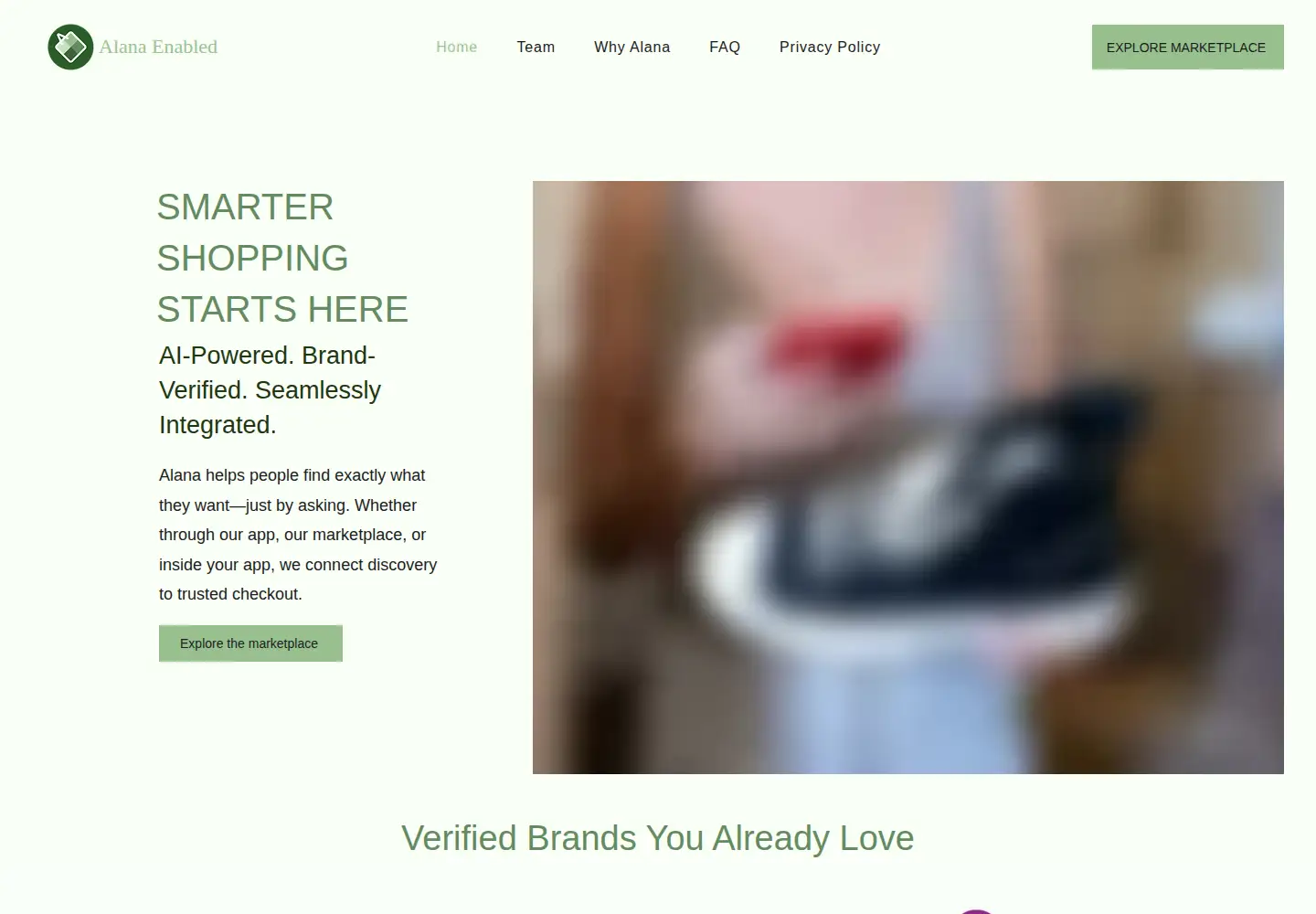 Captured homepage of alanaenabled.com in the current scan
