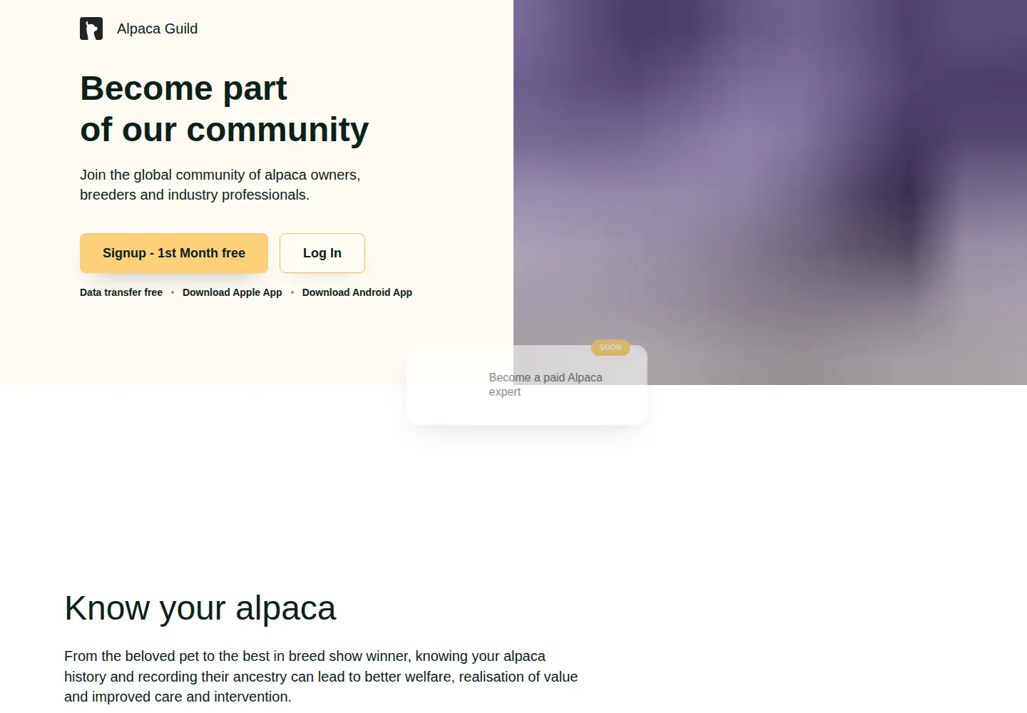 Captured homepage of alpacaguild.com in the current scan