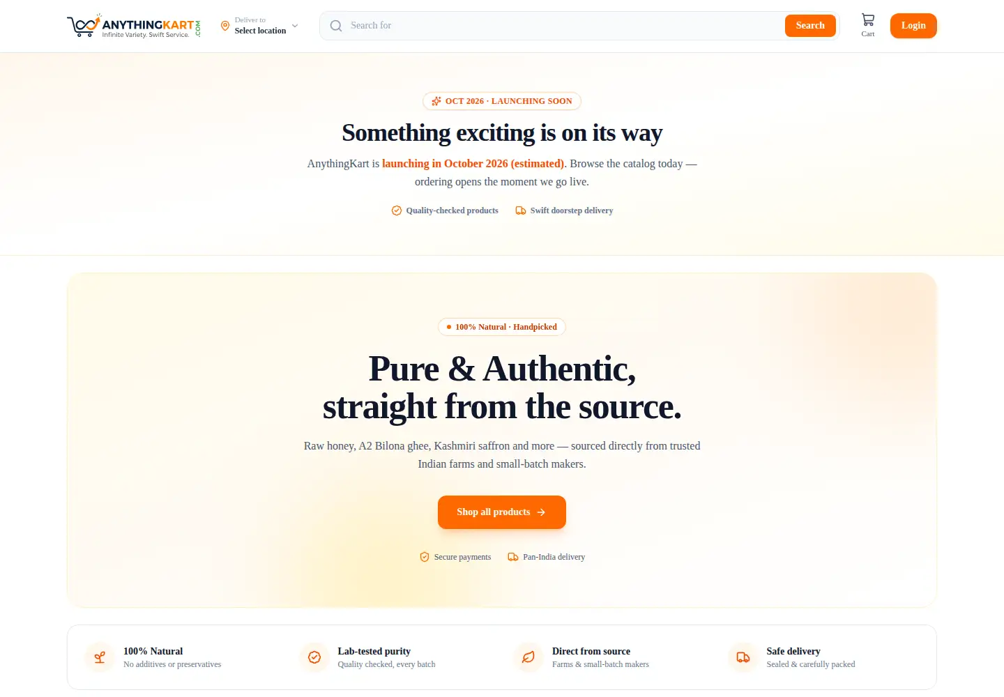 Screenshot of anythingkart.com