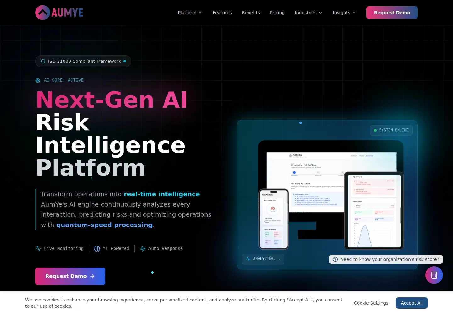 Captured homepage of aumye.com in the current scan