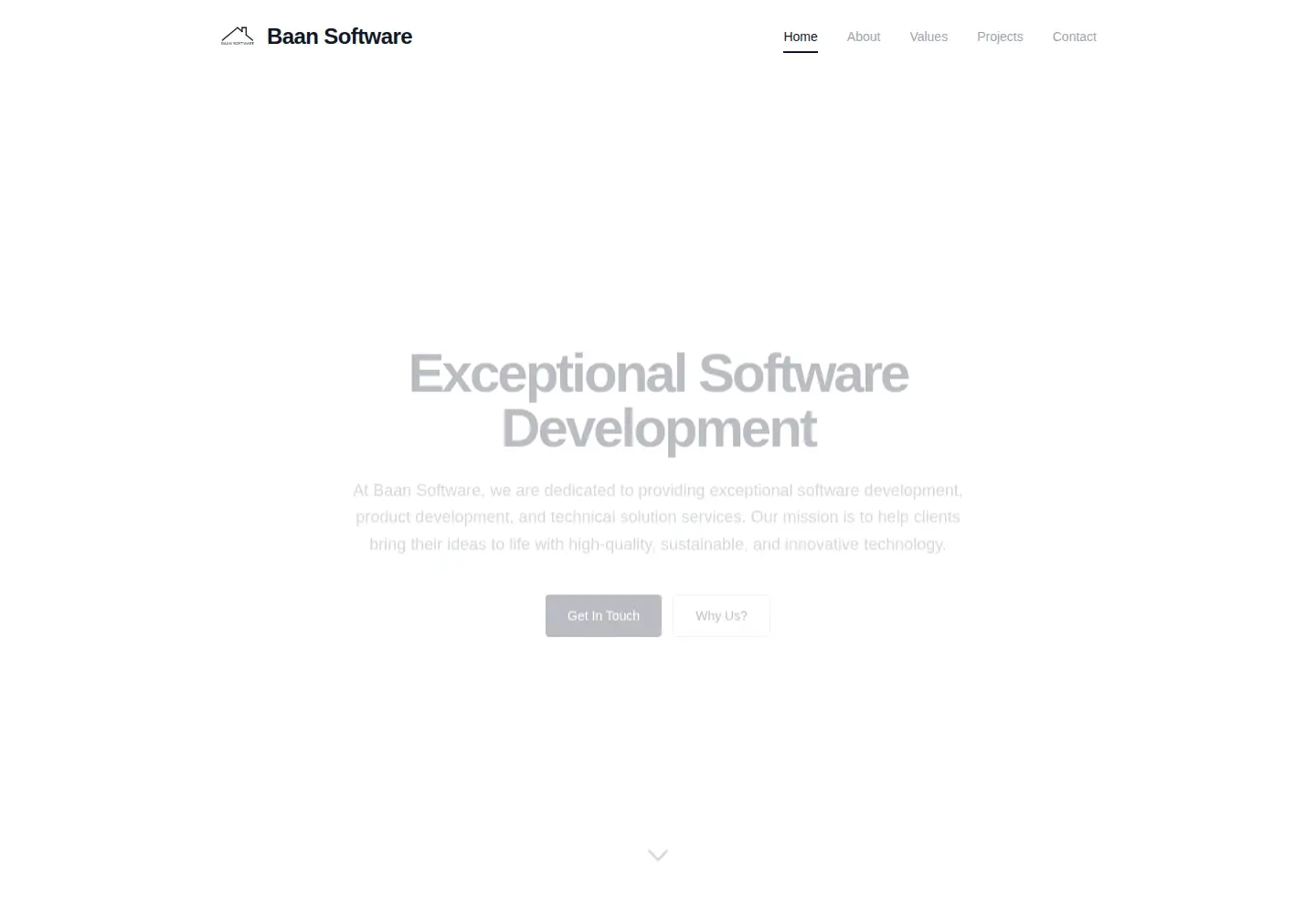 Screenshot of baansoftware.com