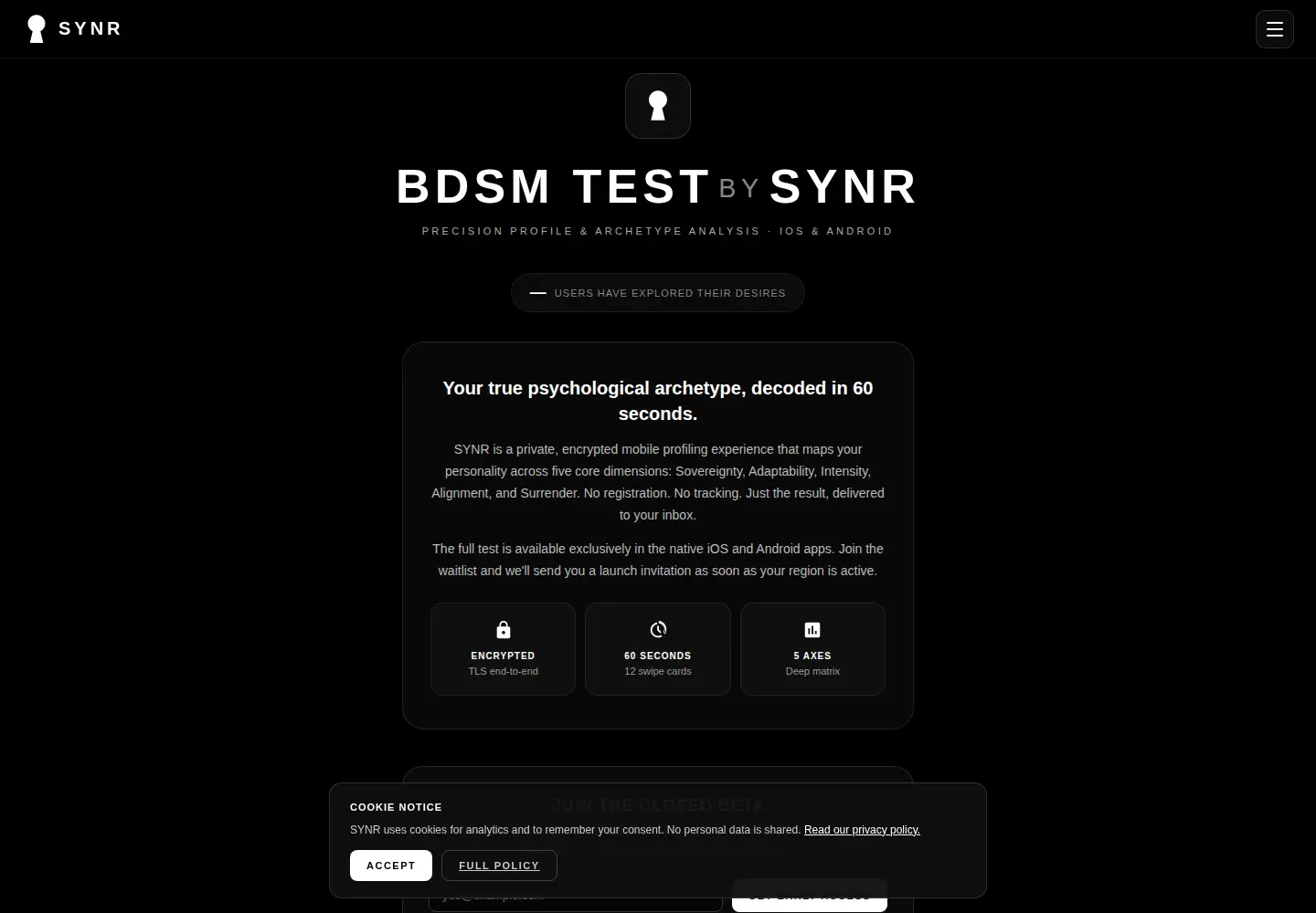 Screenshot of bdsmtestsynr.com