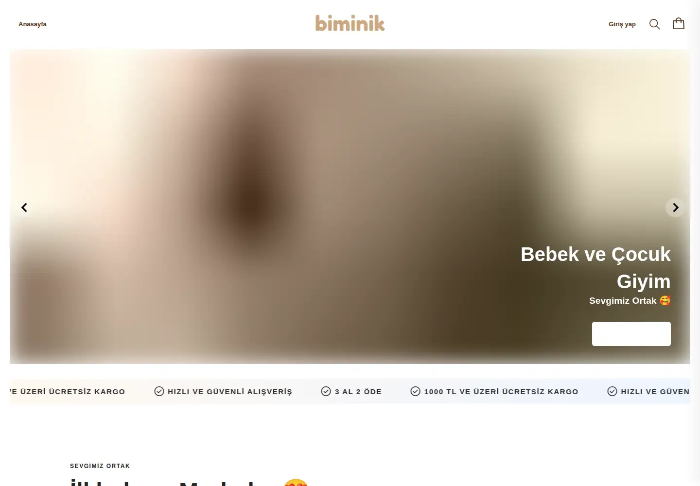 Captured homepage of biminik.com in the current scan