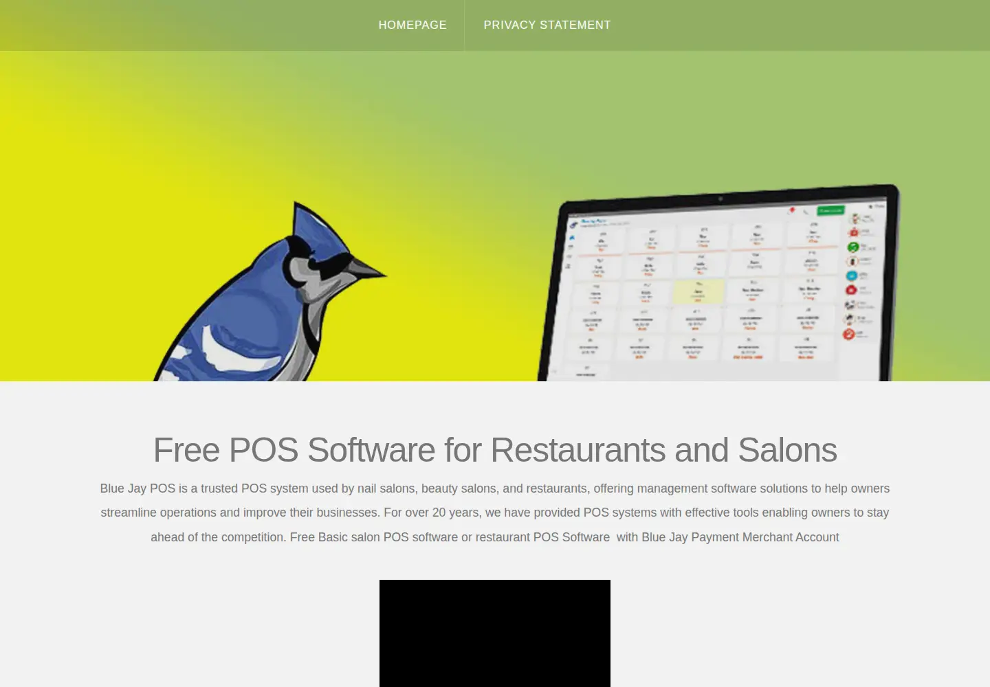 Screenshot of bluejaypos.com