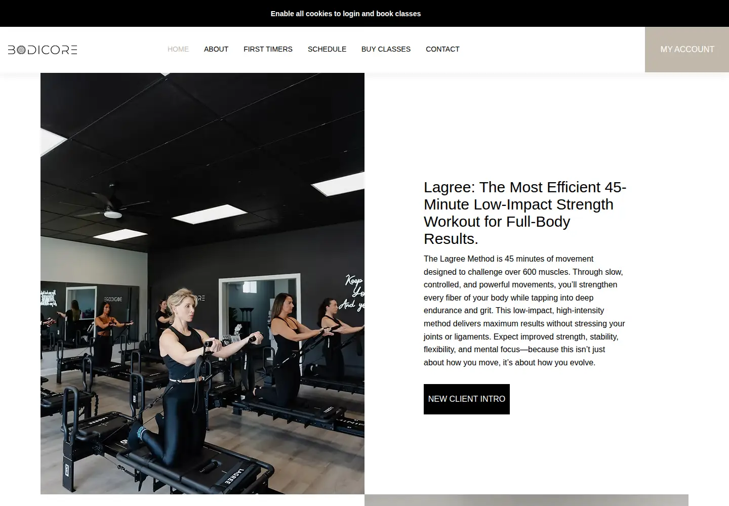 Screenshot of bodicore.com