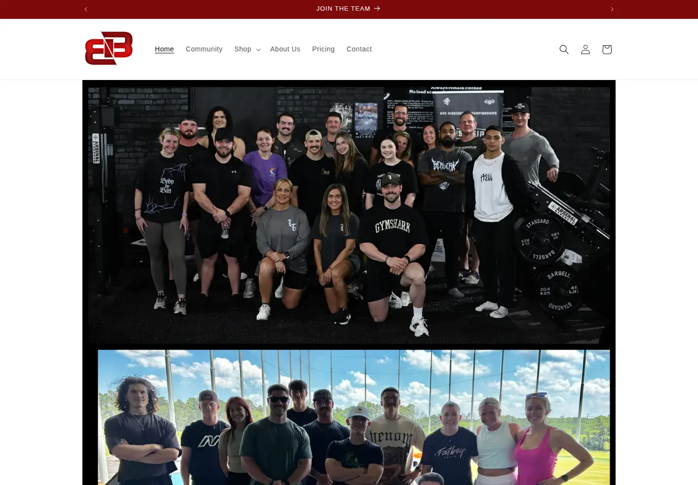 Captured homepage of bodybybart.com in the current scan