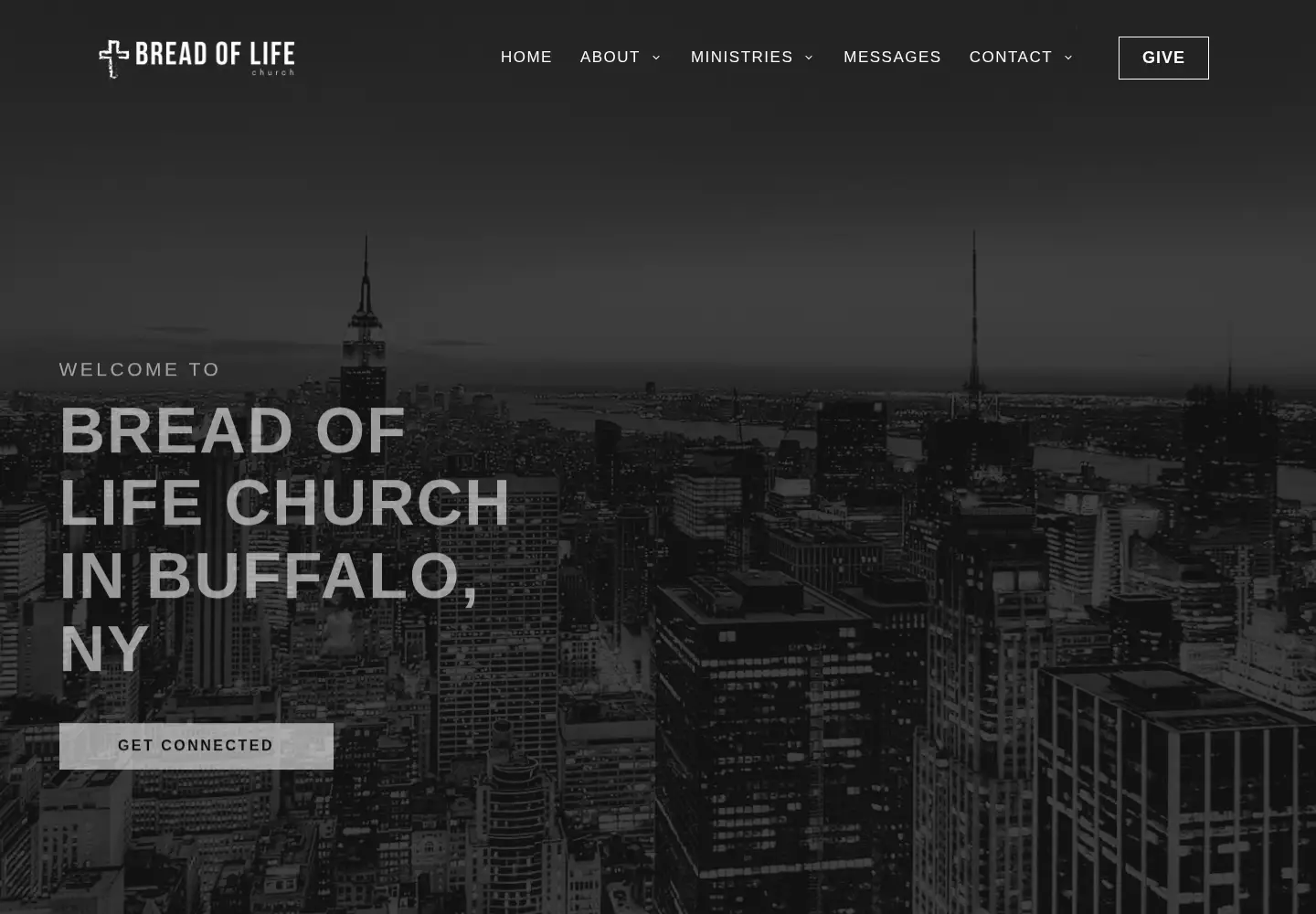 Captured homepage of bolbuffalo.com in the current scan