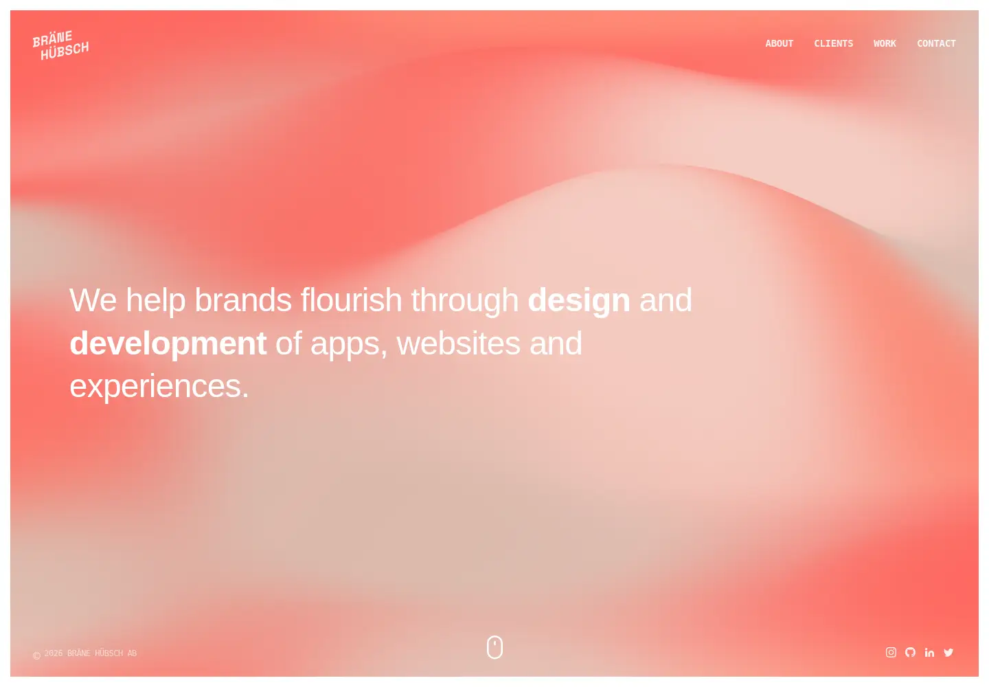 Captured homepage of branehubsch.com in the current scan