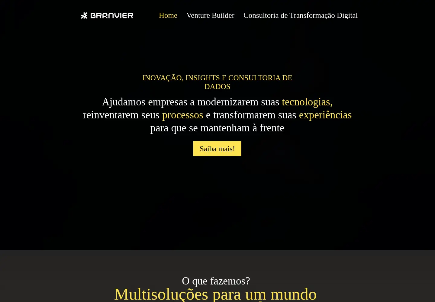 Screenshot of branvier.com