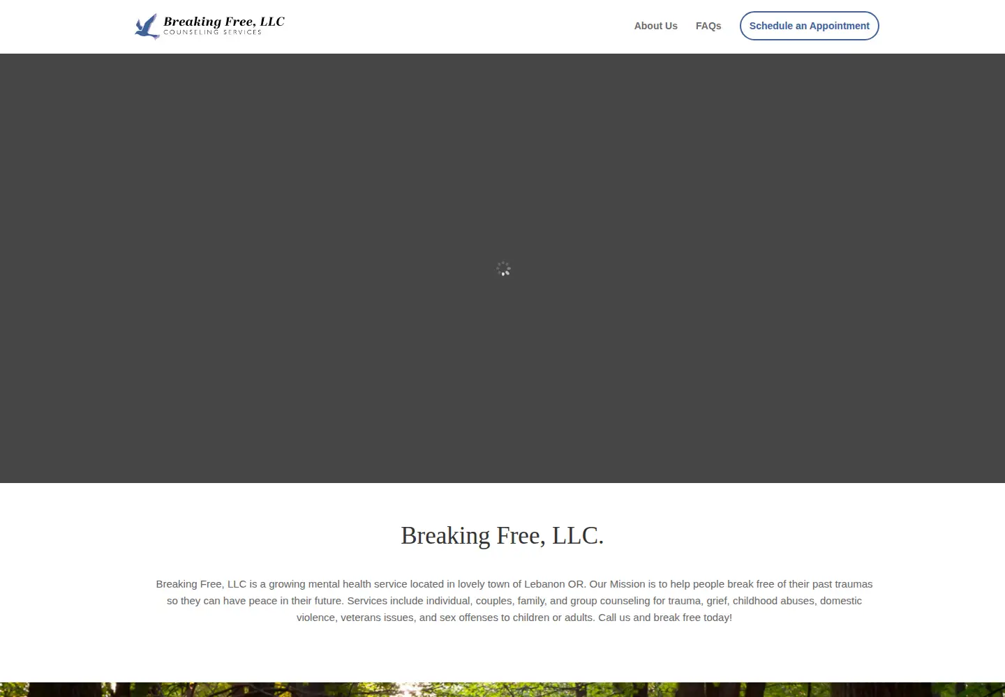 Captured homepage of breakingfreellc.com in the current scan