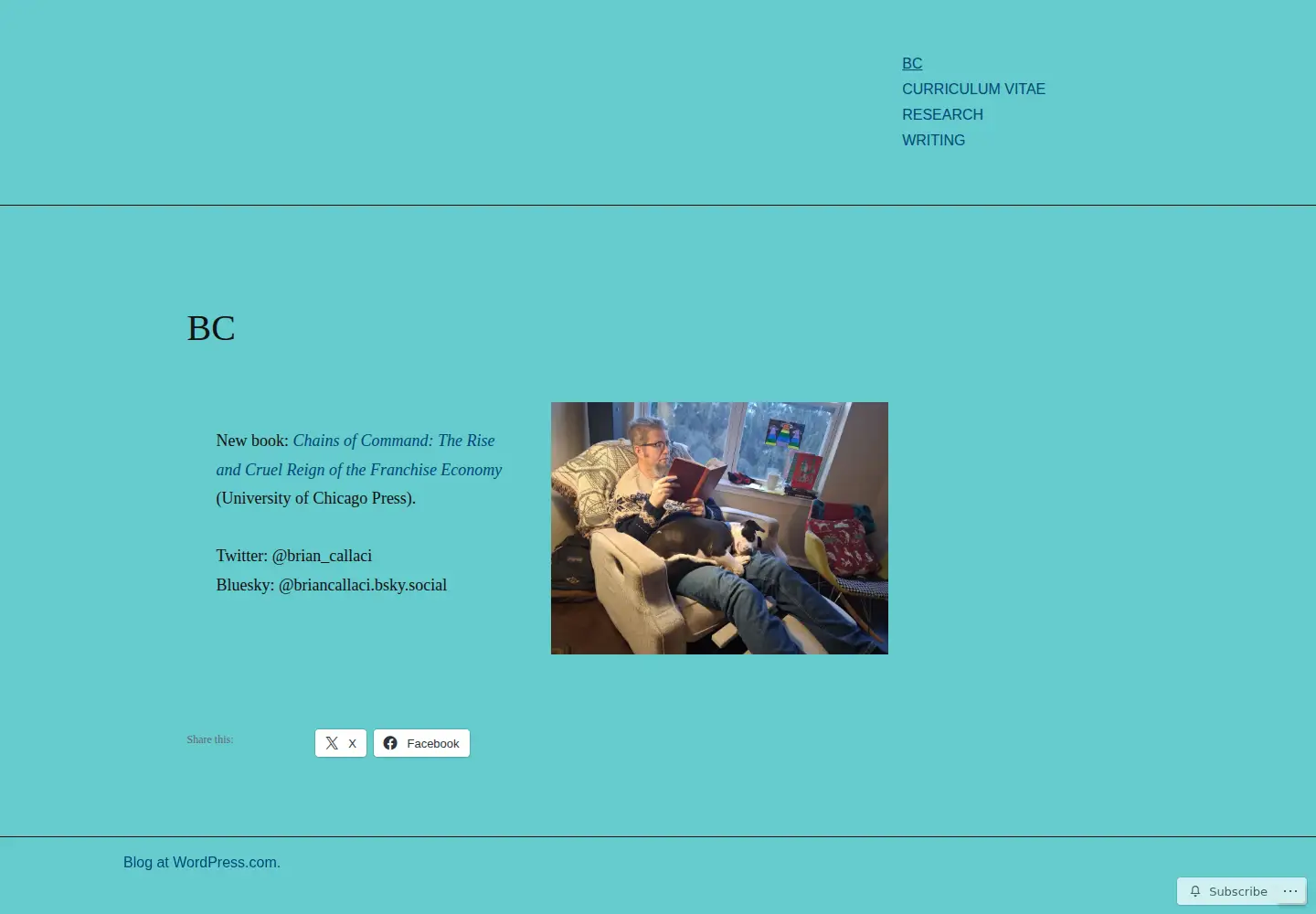 Captured homepage of briancallaci.com in the current scan