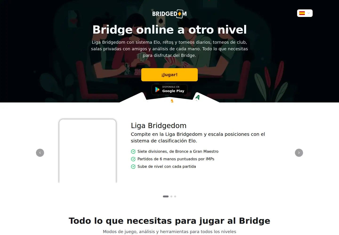 Captured homepage of bridgedom.com in the current scan