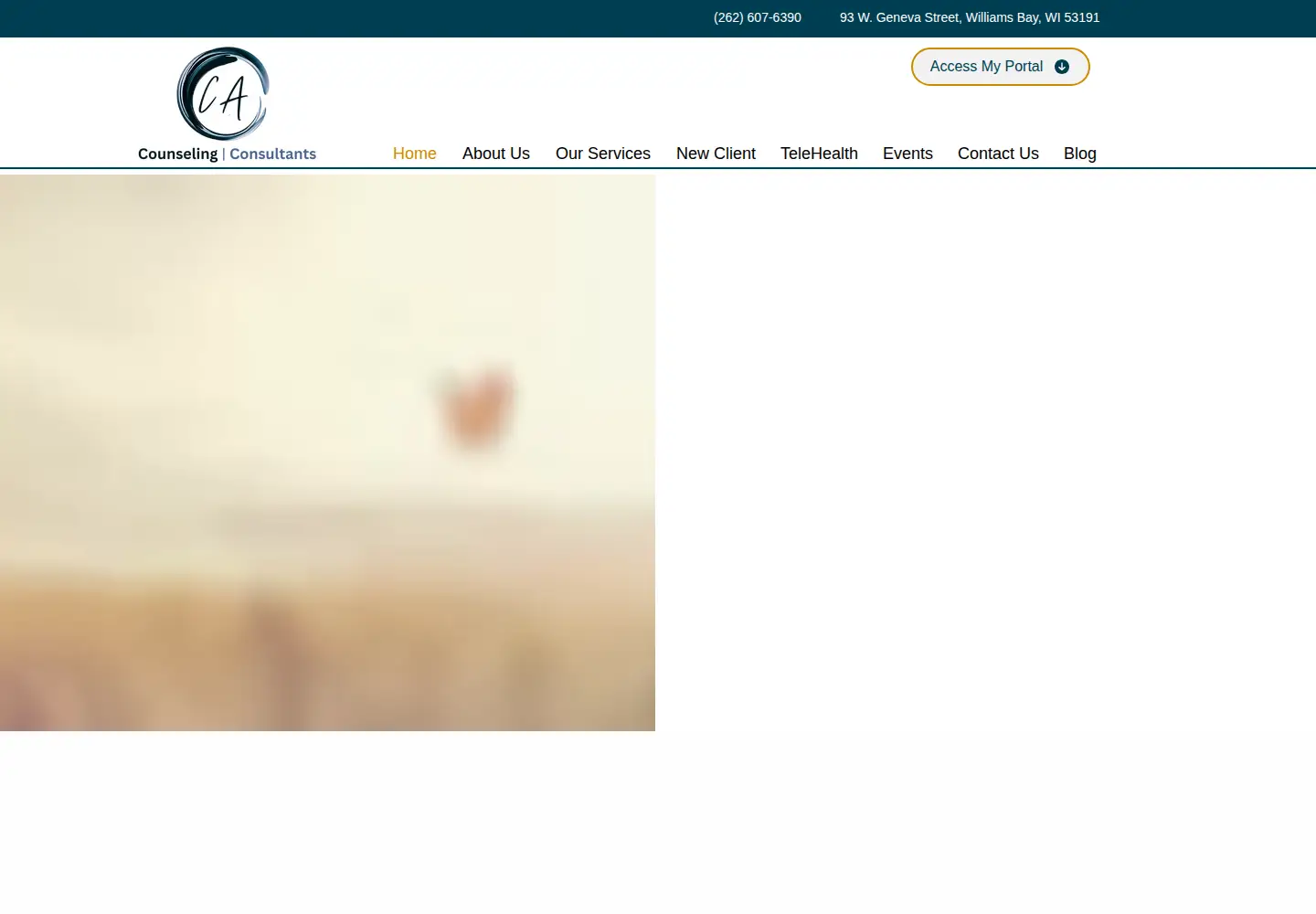 Captured homepage of cacounselingconsultants.com in the current scan