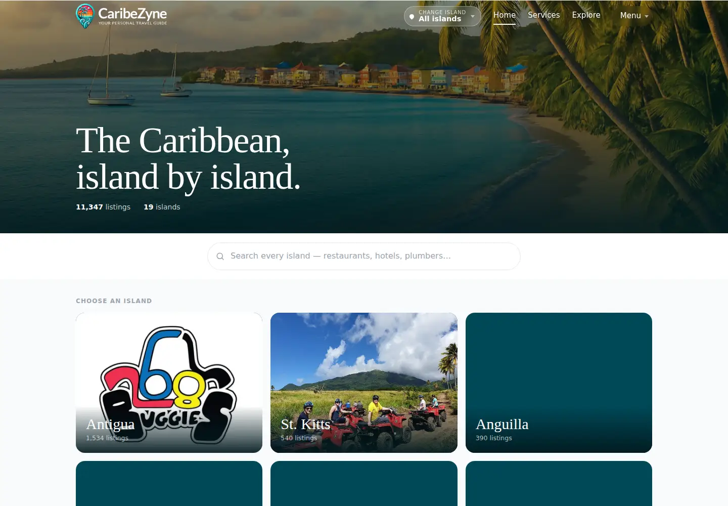 Screenshot of caribezyne.com