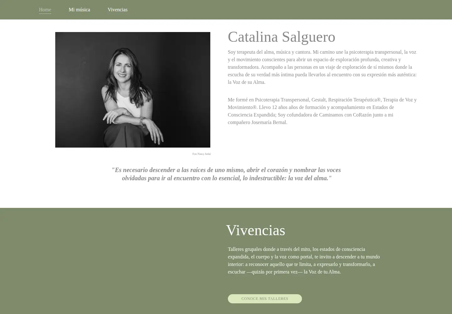 Captured homepage of catalinasalguero.com in the current scan