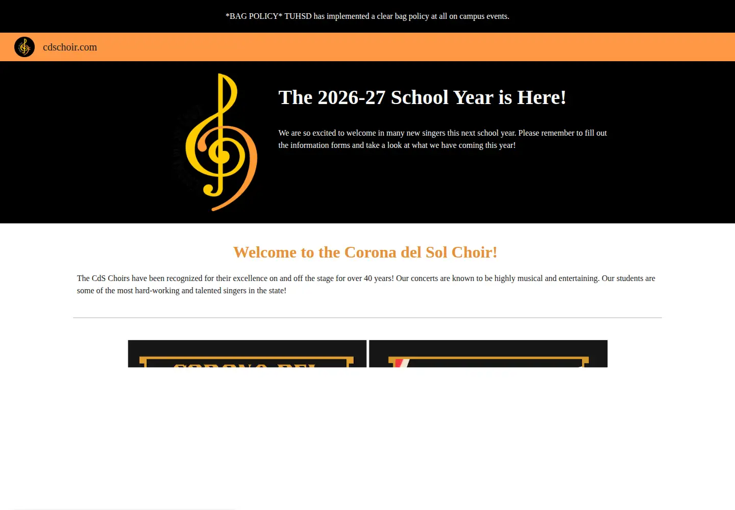 Screenshot of cdschoir.com