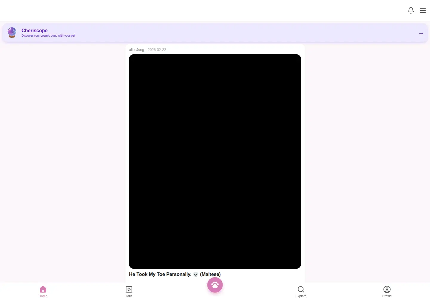 Captured homepage of cherinity.com in the current scan