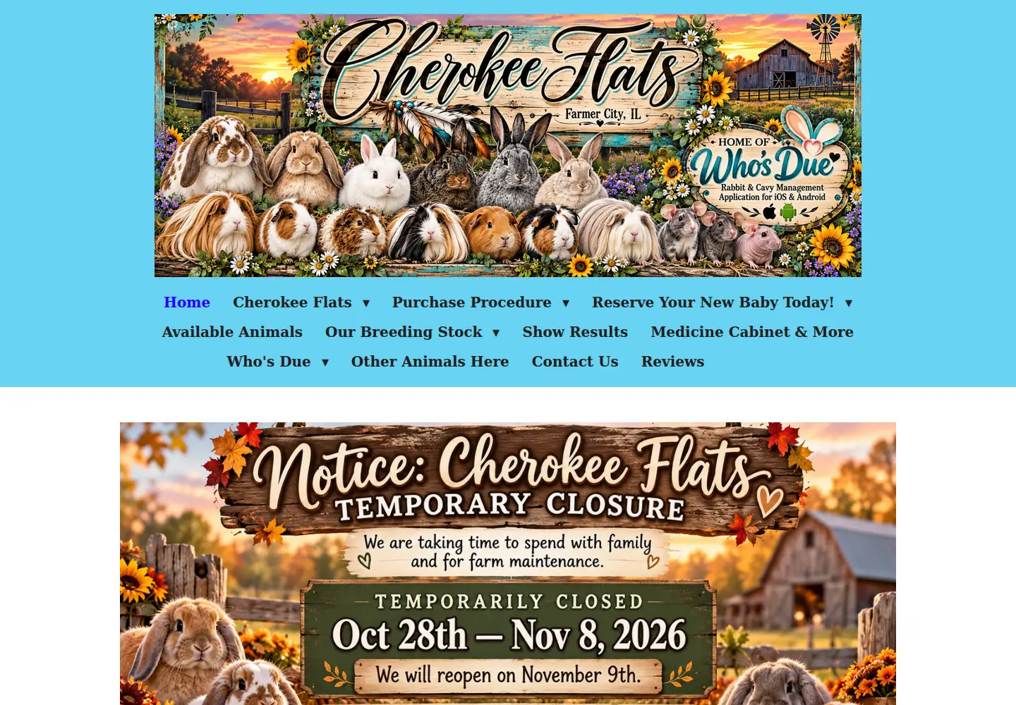 Screenshot of cherokeeflats.com