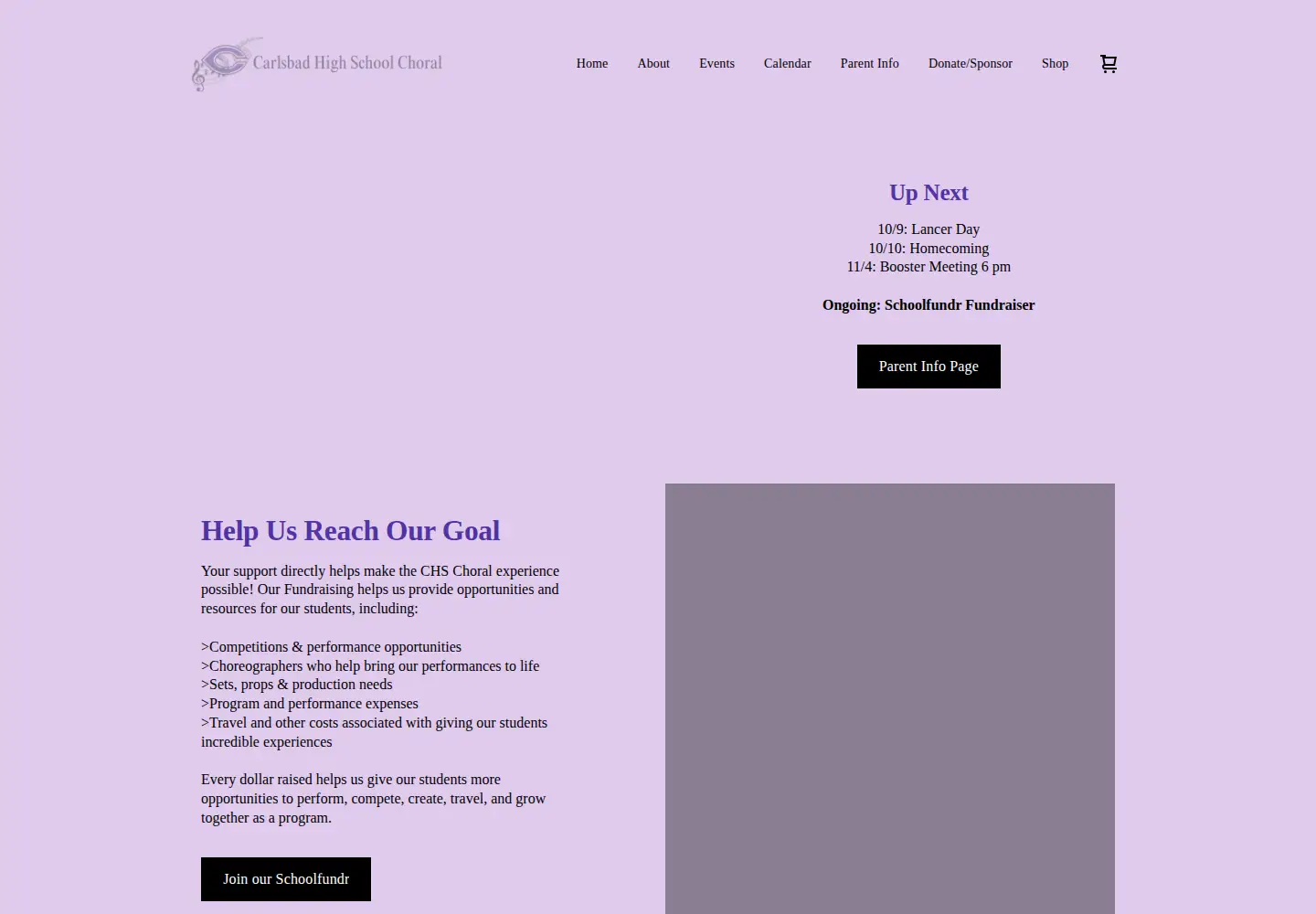 Captured homepage of chschoral.com in the current scan