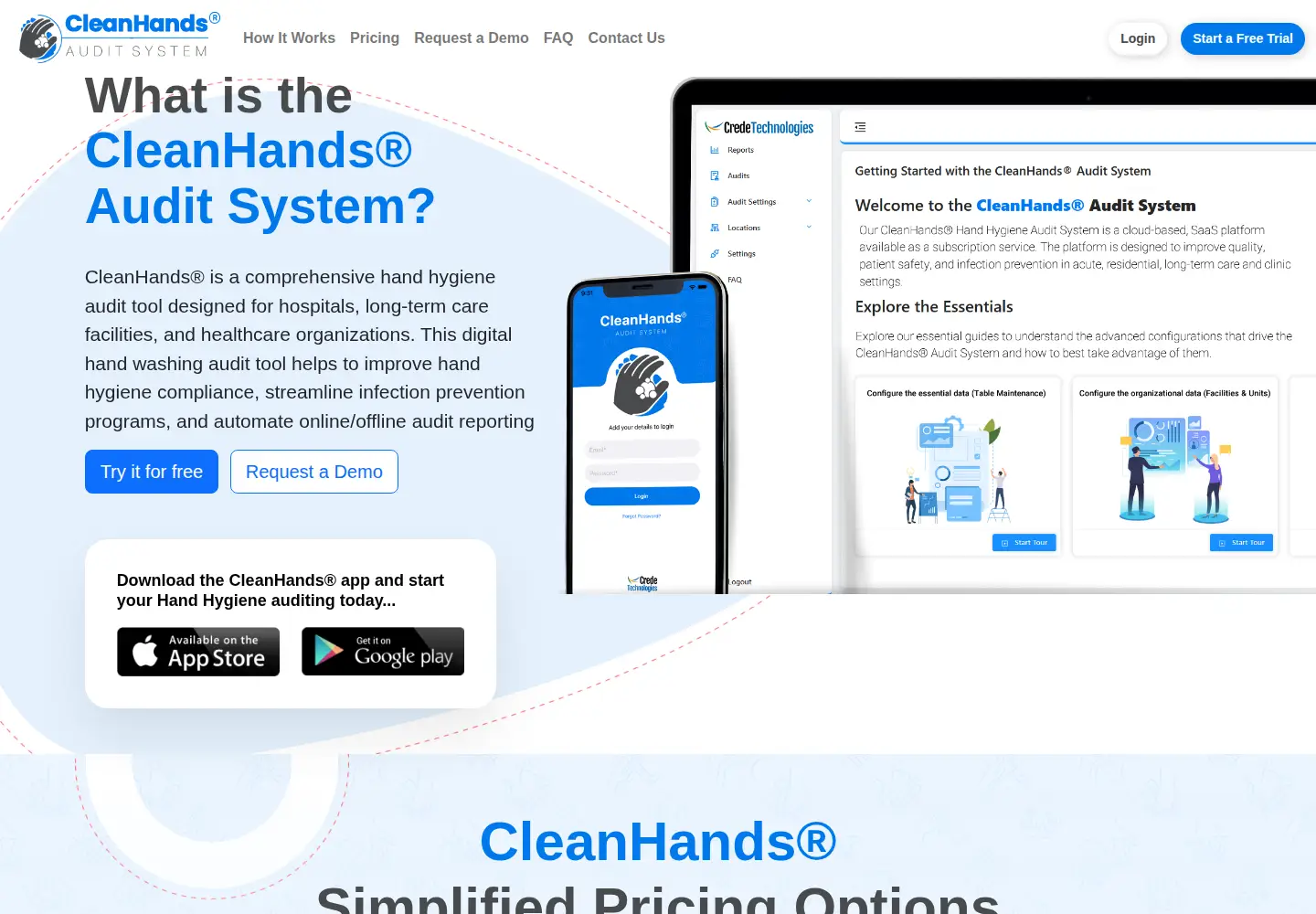 Captured homepage of cleanhandsaudit.com in the current scan