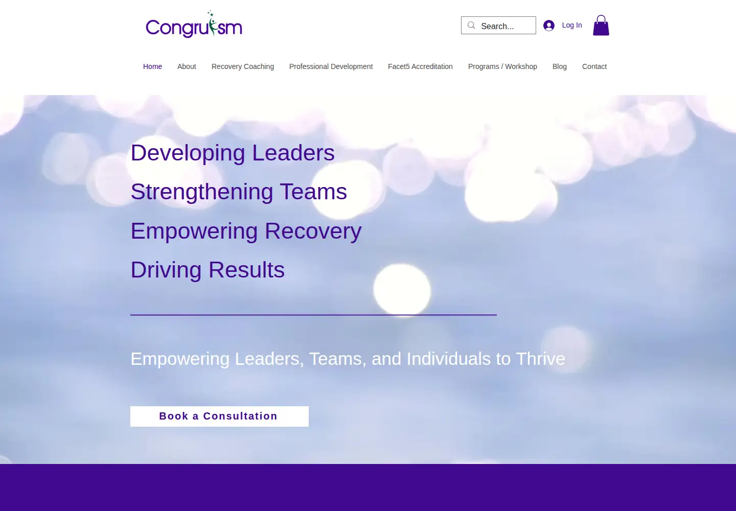 Captured homepage of congruism.com in the current scan