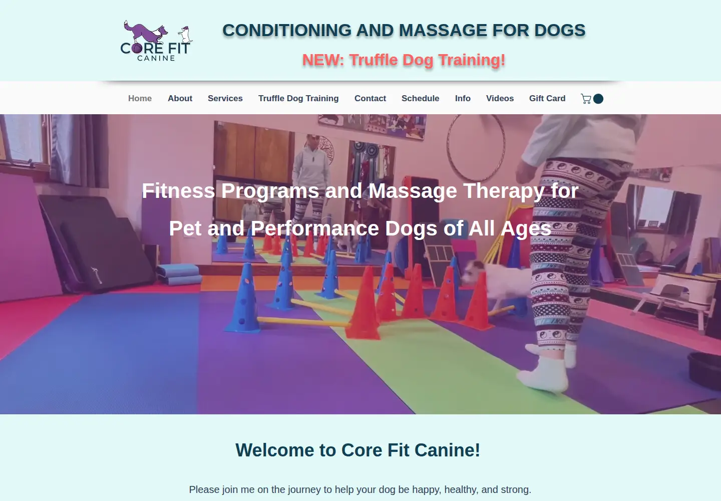 Screenshot of corefitcanine.com