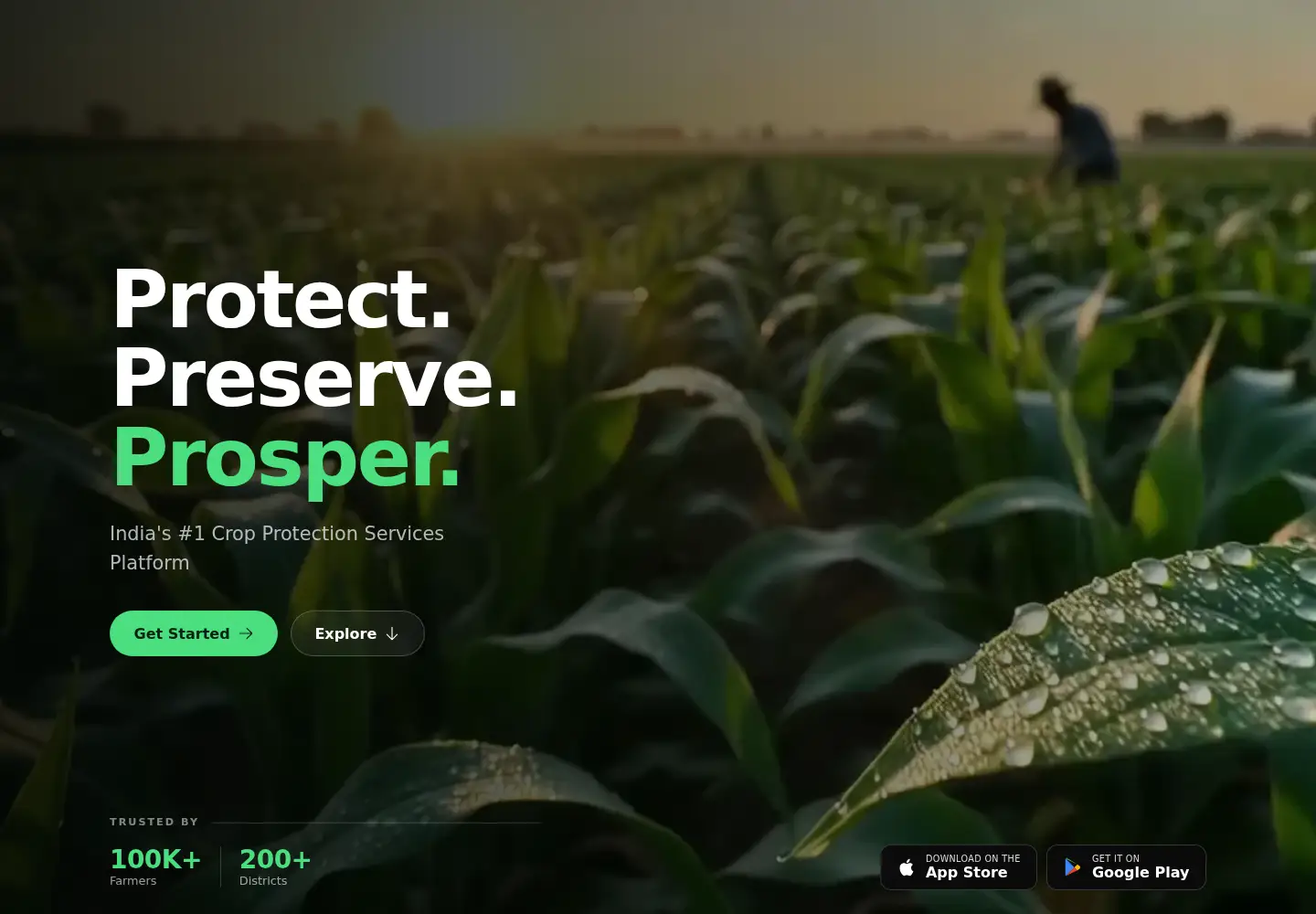 Captured homepage of cropwings.com in the current scan