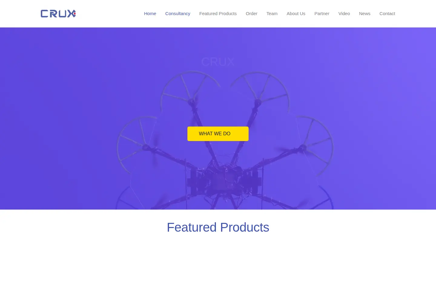 Captured homepage of cruxbd.com in the current scan