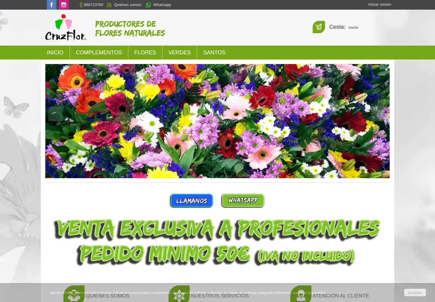 Screenshot of cruzflor.com