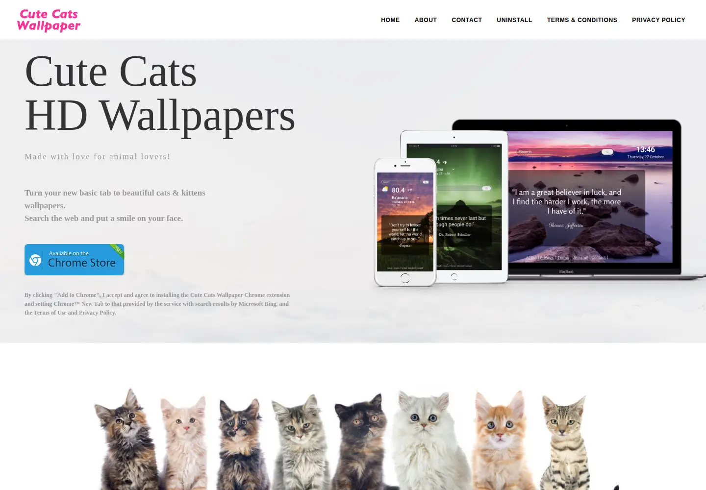 Screenshot of cute-cats-wallpaper.com