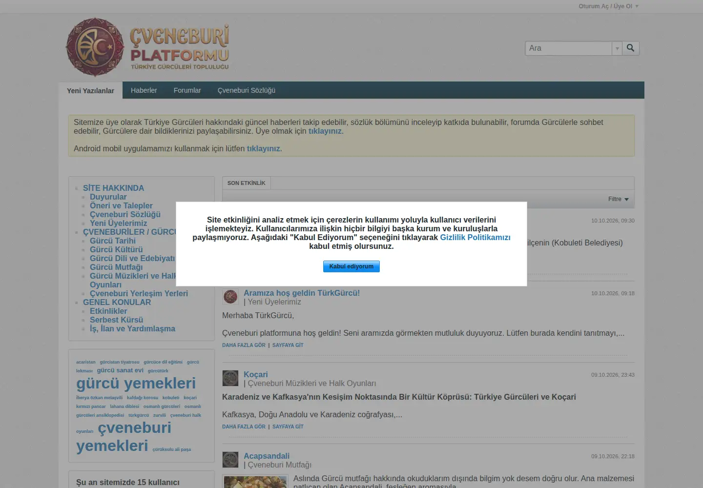 Screenshot of cveneburi.com from the current report