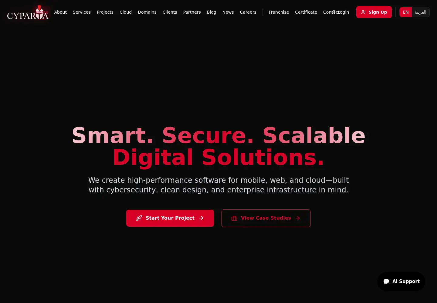 Captured homepage of cyparta.com in the current scan
