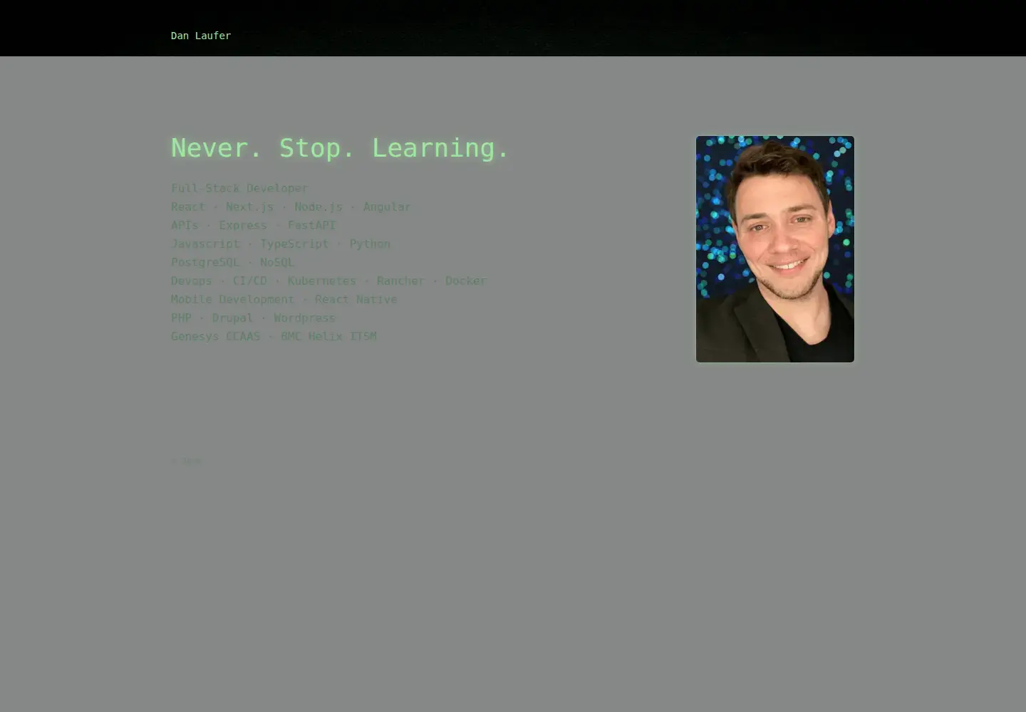 Screenshot of danlaufer.com