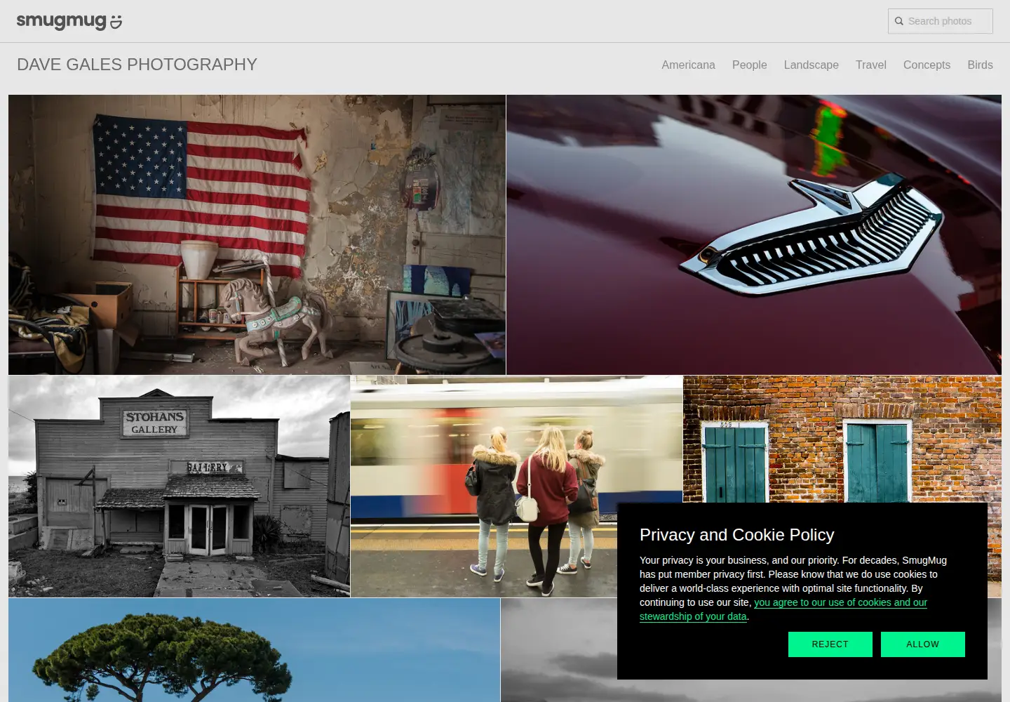 Screenshot of davegales.com