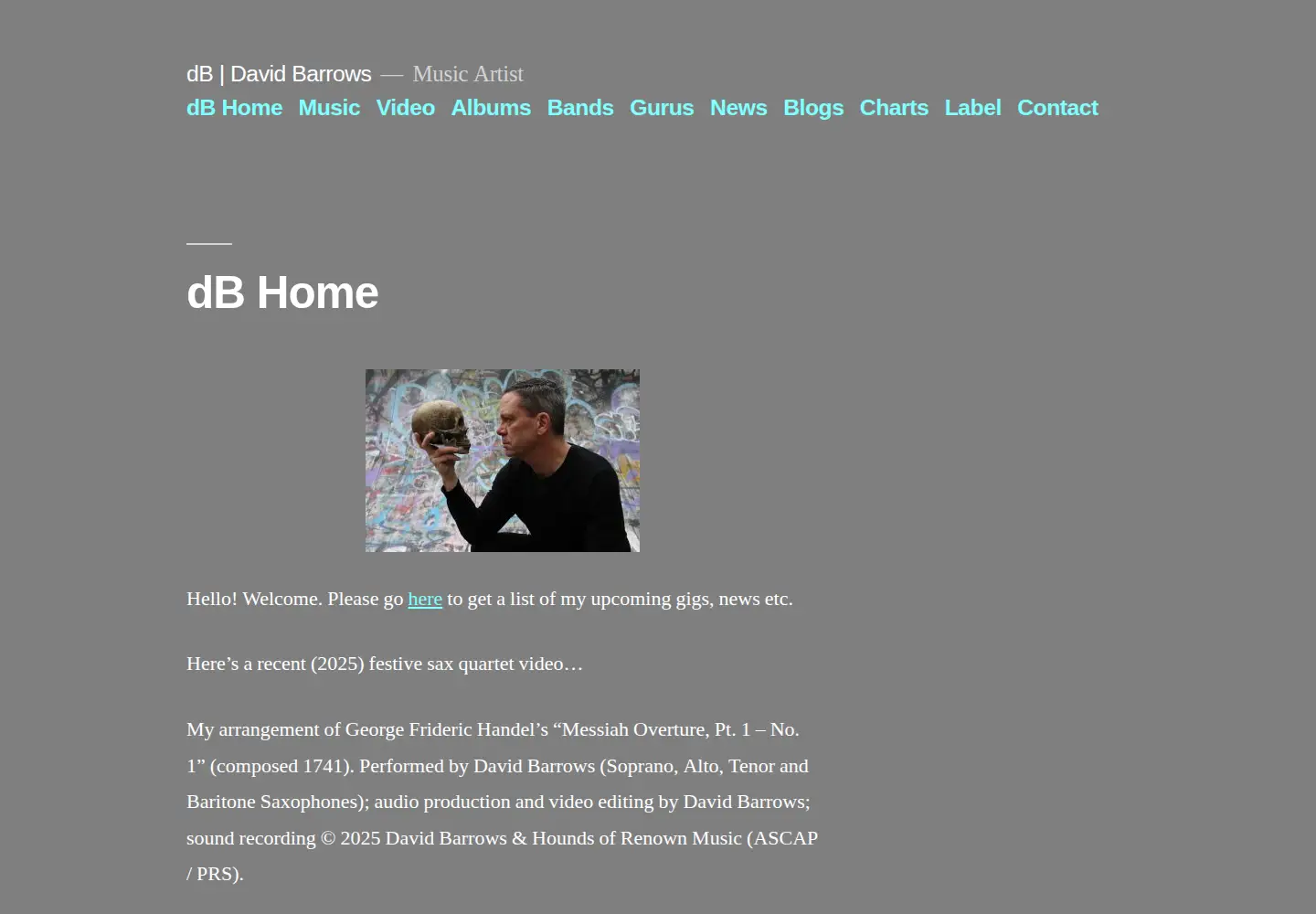 Screenshot of davidbarrows.com