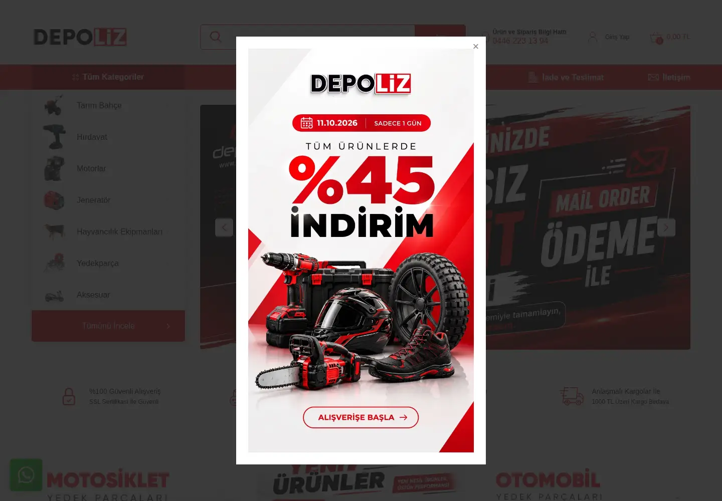 Screenshot of depoliz.com